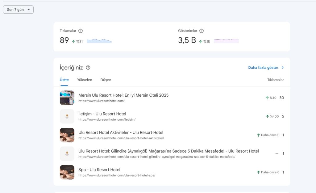 Uluresorthotel Organik Trafik Google Alakali Kullanici Dijitern